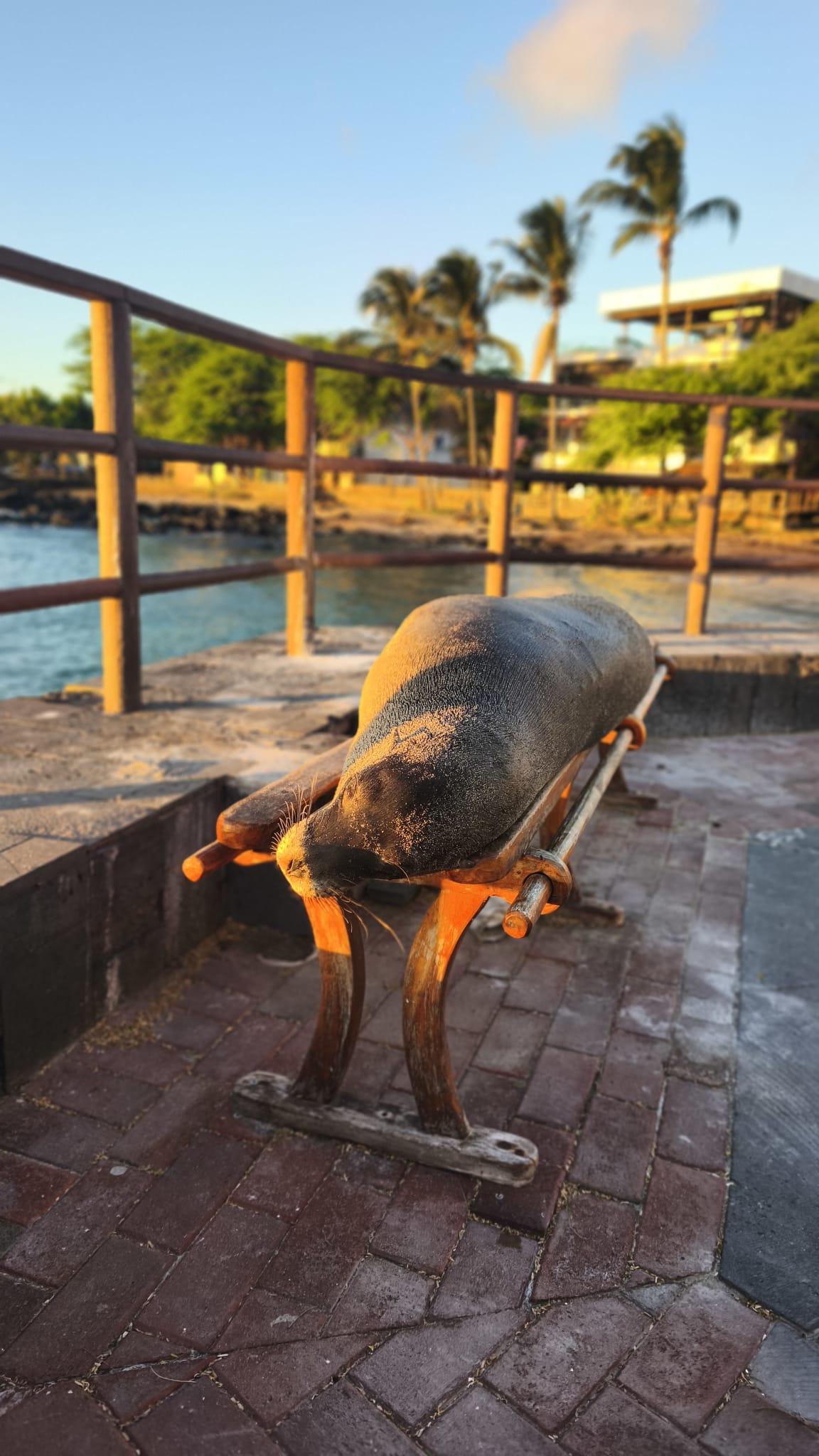 Viaggio Ecuador e Galapagos